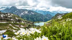 Der Seealpsee
