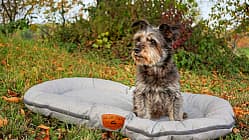 Hundezubehör Wohnmobil