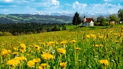 Campingplatz-Archiv Allgäu