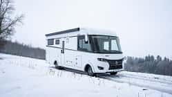 Frankia Platin Pure (2024)