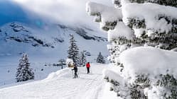 Skigebiet, Winterlandschaft, Skifahrer, NadelbŠume