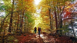 Wandern im Herbst in Deutschland