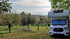 Feld, Bäume, Wohnmobil