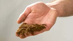 Kompost, Camping, Toilette, Wohnmobil, Caravan