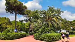 Campingplatz, Camping Village Pino Mare, Palmen