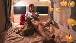 Camping mit Hund, Bett, Hundedecke i_Camping_mit_Hund_Hundedecke