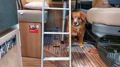 CMT 2026, Malibu Van, 540 D