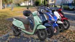 Roller, Freisteller, Parkplatz