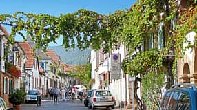 Reise-Tipp Pfalz 