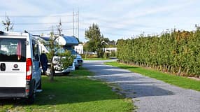 Stellplatz, De Plantage, Niederlande, Parzellen, Stellplätze