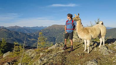 Katschberg mit Lama