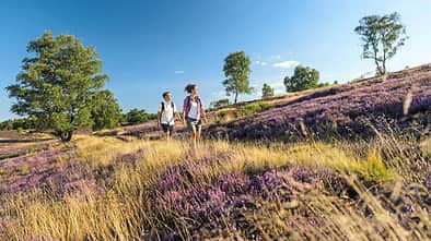 Lüneburger Heide