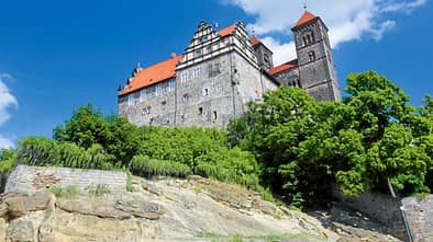 IM WELTBERÜHMTEN GARTENREICH Dessau-Wörlitz beginnt es jetzt überall zu blühen.