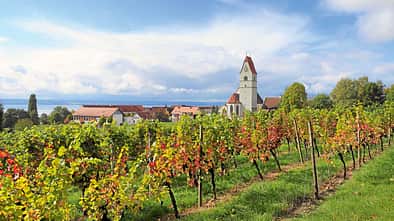 Wohnmobil-Tipp: Hagnau am Bodensee