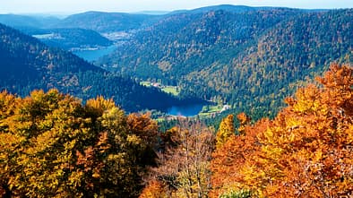 Reise-Tipp: Lothringen