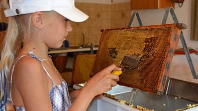 Der Camping Schwanenplatz veranstaltete im Juli einen Naturerlebnis-Tag, bei dem sich alles rund um Bienen und andere Nützlinge drehte.