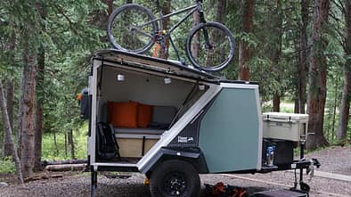 Tigermoth Taxa Outdoors