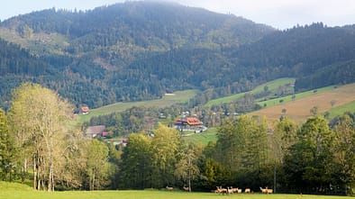 Ausblick