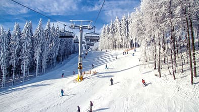 Berg