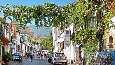An einem sonnigen Sonntag in der Theresienstraße von Rhodt unter Rietburg.
