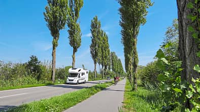 Bodensee Pappelallee