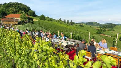 Mobil-Tour entlang der Mur