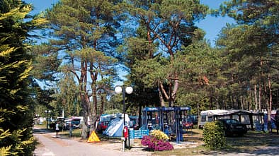 Camping Morski Nr. 21 in Polen