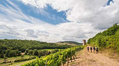 od-2016-rheinlandpfalz-rheinhessen-Hiwweltour Heideblick2 (jpg)