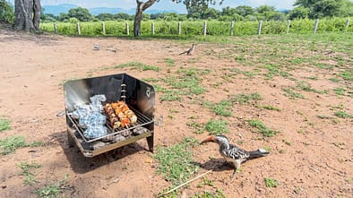 Camping-Grill Fire-Q im Praxistest