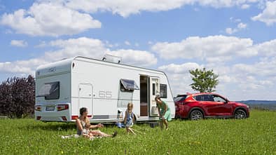 LMC Style 493 K (2021)