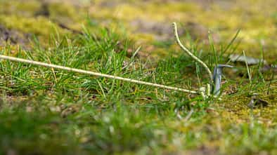 Tent Peg