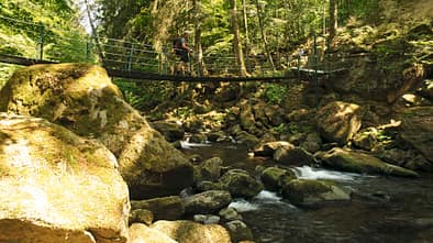 Bayerische Wälder, Camping