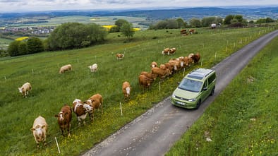 VW Caddy Californa, Praxis Test 2021