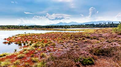 Reisetippt Rupertwinkel