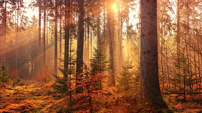 Tipps für den Herbst