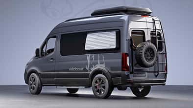 Wildboar Dama (2022)