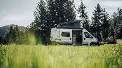 Bürstner Campeo C 600 Black Forest (2022)