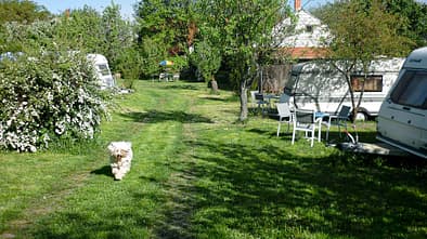 Die 15 besten Campingplaetze in Ungarn