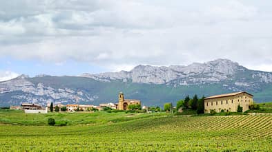 Camino Francés