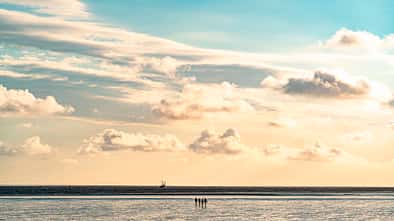 Von Hamburg ans Meer 