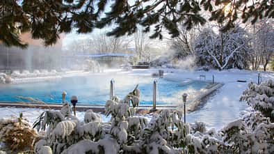 Winter in der Suedpfalz