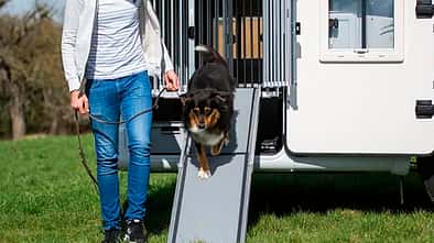 Reisen mit Hund Rampe