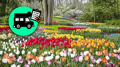 Keukenhof Niederlande
