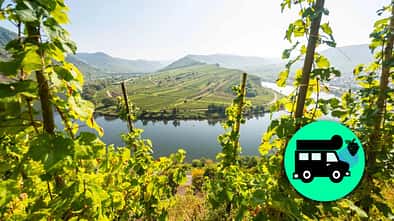 Mosel