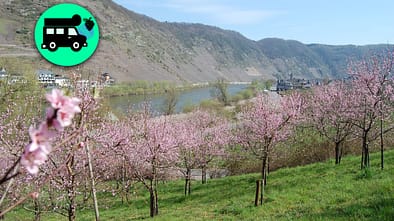 Mosel Alternative Stellplätze