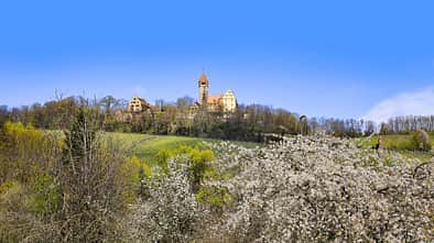 Schloss Stocksberg, Stockheim bei Brackenheim, Sehenswürdigkeit, Burg, Natur 