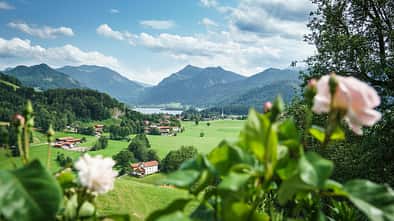 Urlaub auf dem Bauernhof