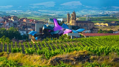 Hotel Marques de Riscal, Weinberge, Spanien