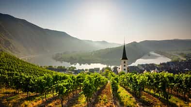 Moselschleife, Rheinland-Pfalz, Mosel, Weinberg, Bremm, Kirche