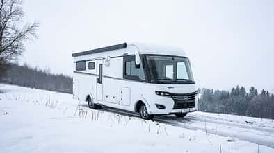 Frankia Platin Pure (2024)